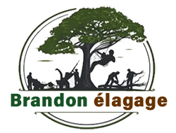 elagueur-brandon-elagage